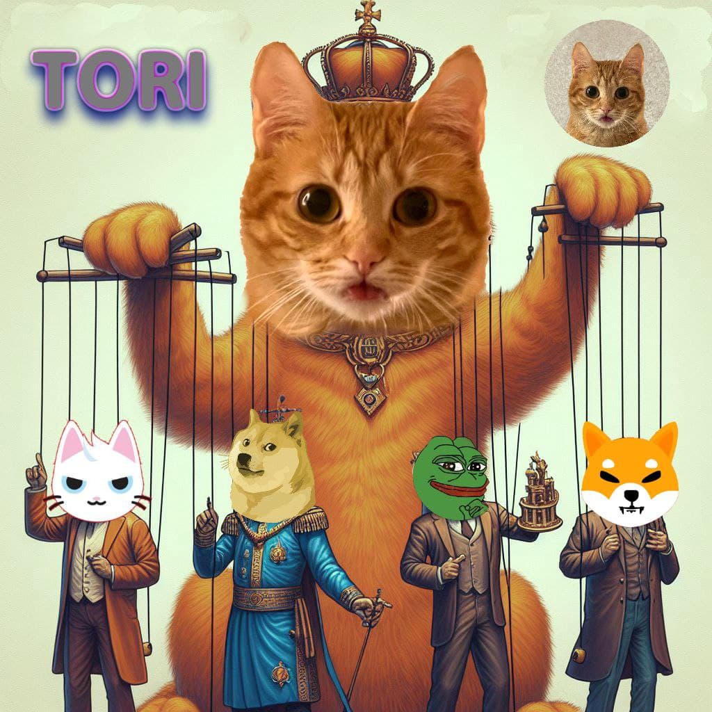 TORI Meme 6